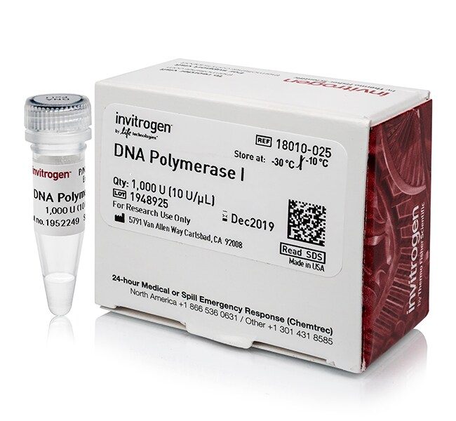 dna-polymerase-i